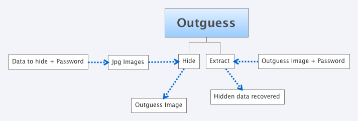 Outguess process Outguess process